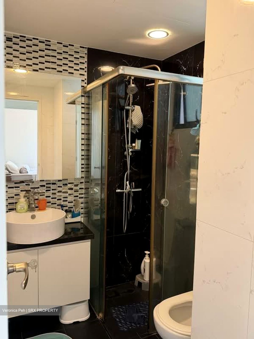 Parc Palais (D21), Condominium #561725761
